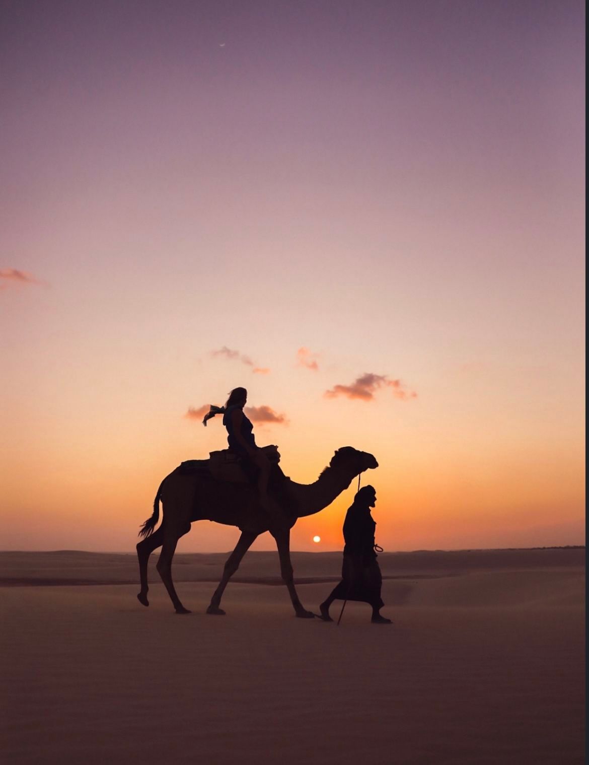 Camel silhouette during Dubai desert sunset photography in golden hour