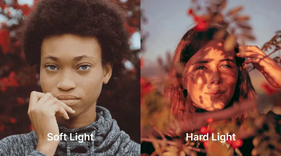  Soft and Hard Light in Photos