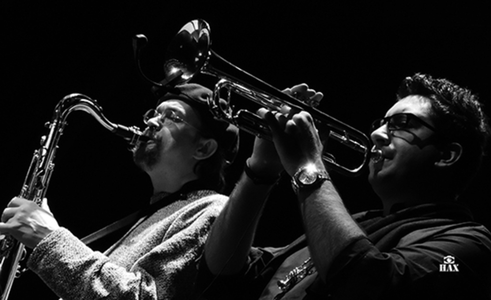 Music / Live Concerts portfolio sample