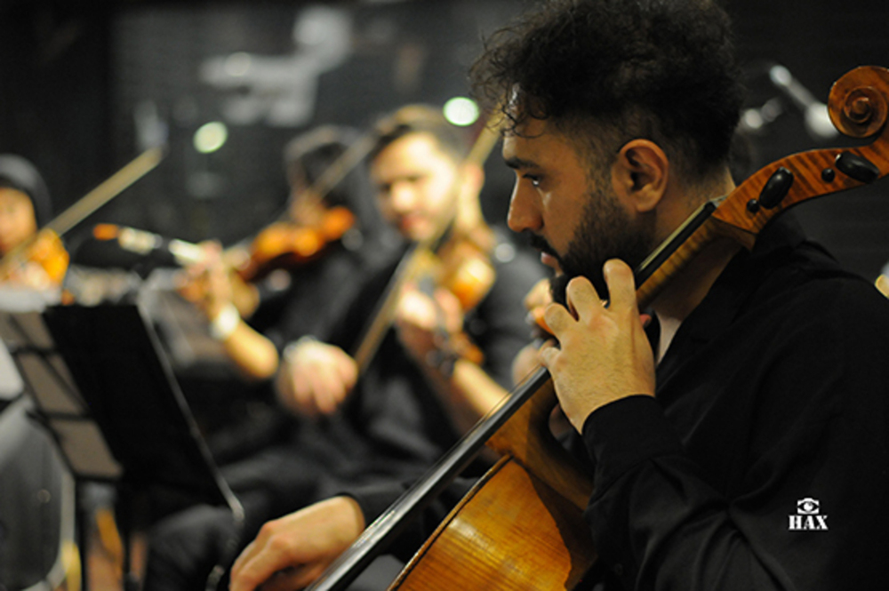 Music / Live Concerts portfolio sample