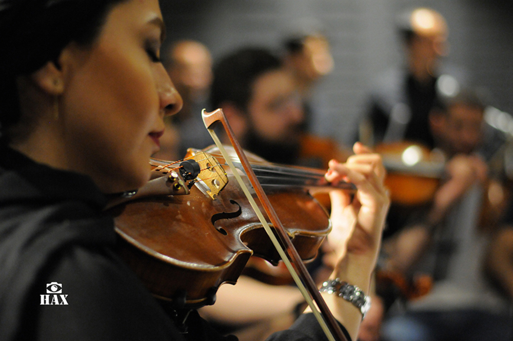 Music / Live Concerts portfolio sample