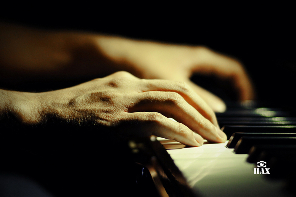 Music / Live Concerts portfolio sample