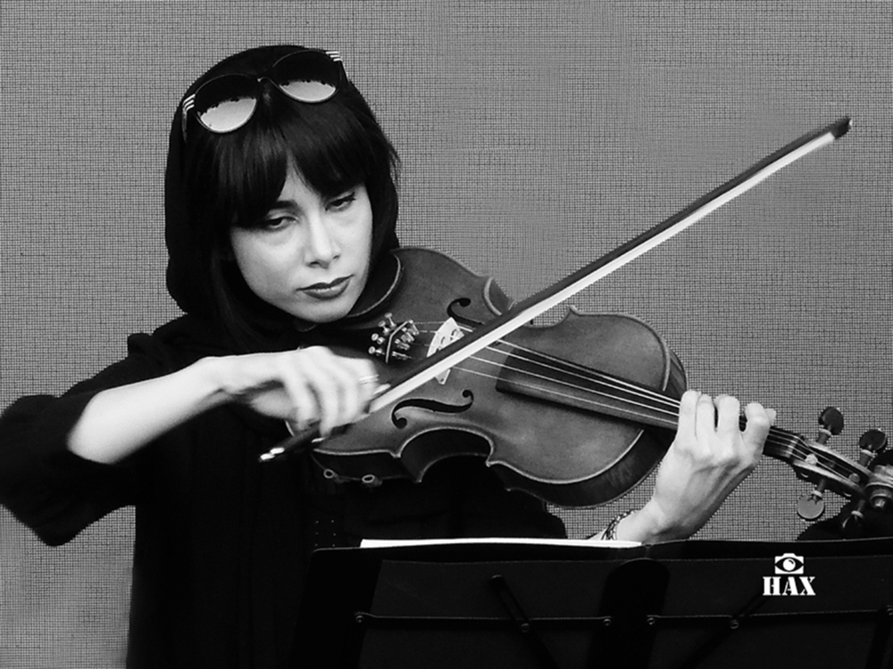 Music / Live Concerts portfolio sample