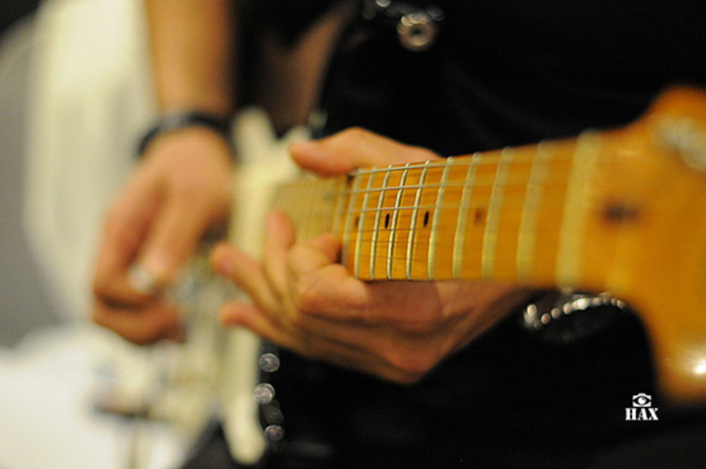 Music / Live Concerts portfolio sample