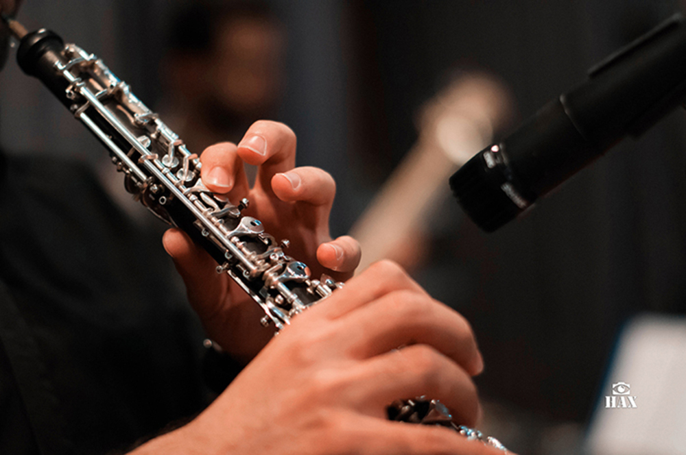 Music / Live Concerts portfolio sample