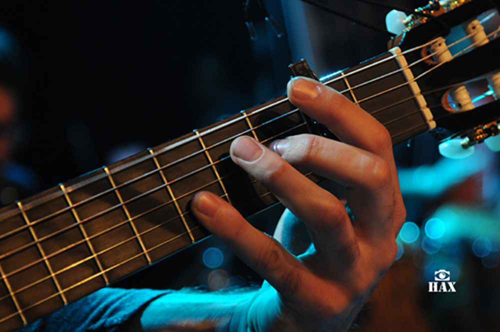 Music / Live Concerts portfolio sample