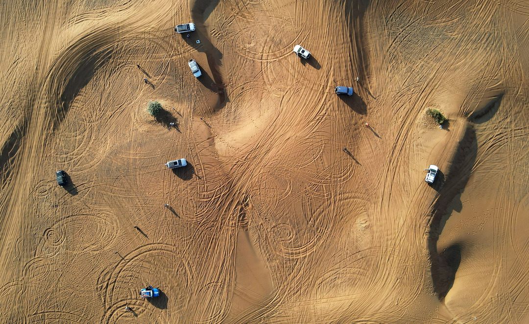 Desert & Sand dunes by P.  SINGH