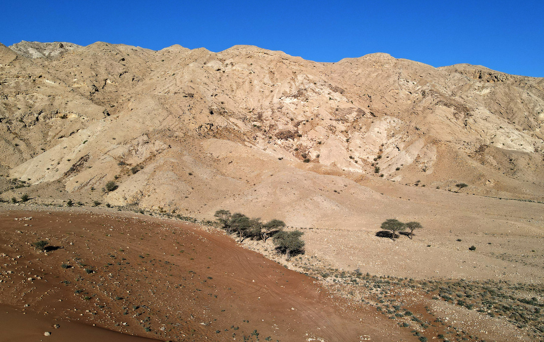 Desert & Sand dunes by P.  SINGH