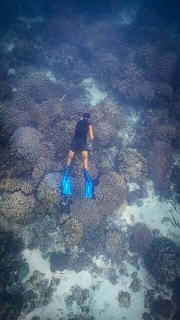 Underwater Photography photo by Gisele Silva